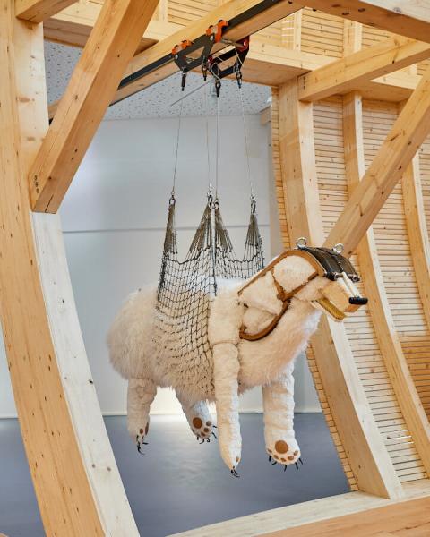 On ropes hangs the polar bear on the ark